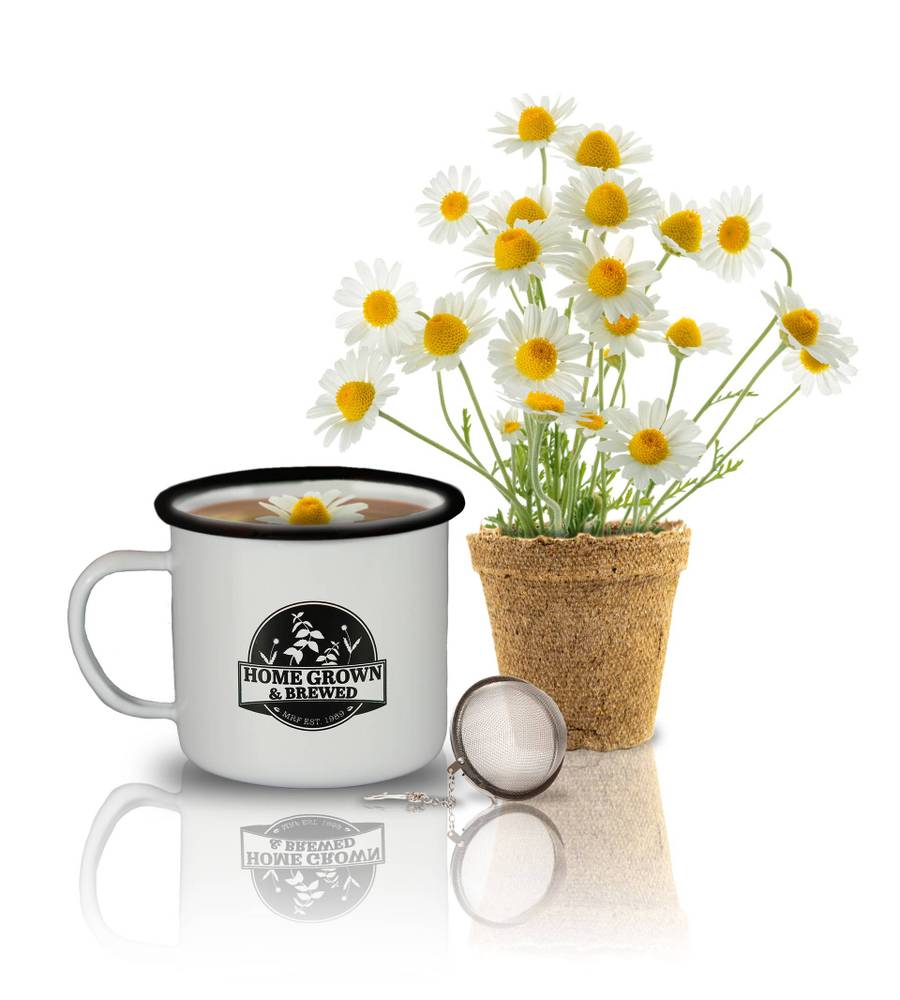 Tea Mug Kit Chamomile