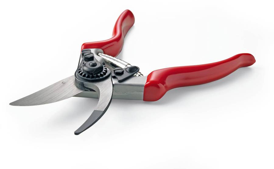 Darlac Expert Bypass Pruner
