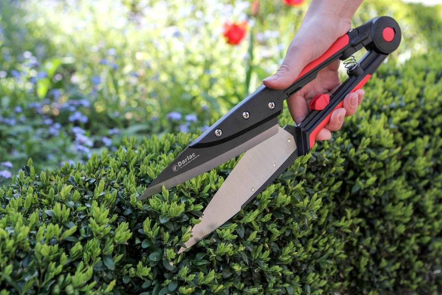 Darlac Expert Topiary Shear