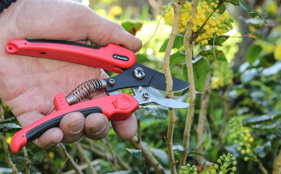 Darlac Compound Action Pruner
