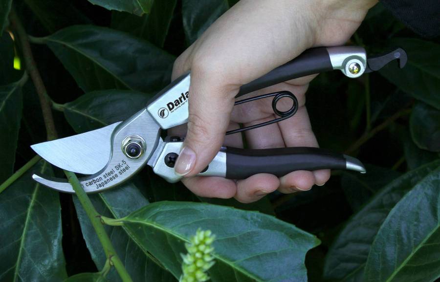 Darlac - Compact Pruner