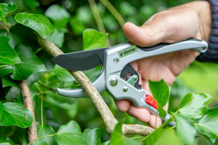 Darlac Super Classic Ratchet Pruner