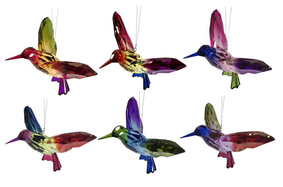 Acrylic Rainbow Hummingbird
