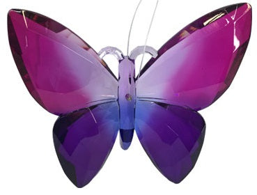 Acrylic Rainbow Butterfly