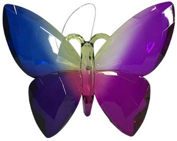 Acrylic Rainbow Butterfly