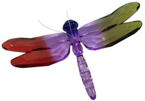 Acrylic Rainbow Dragonfly