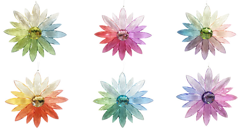 Acrylic Multicolour Daisy