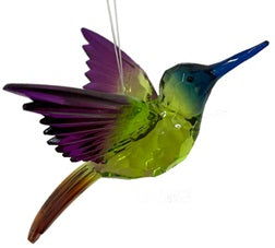 Acrylic Radiant Hummingbird
