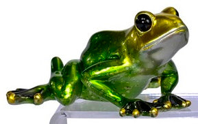 Frog Sitting Shiny