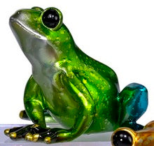 Frog Sitting Shiny