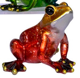 Frog Sitting Shiny