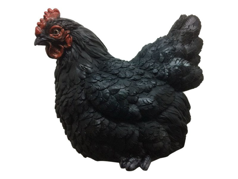 Hen Sitting - Black