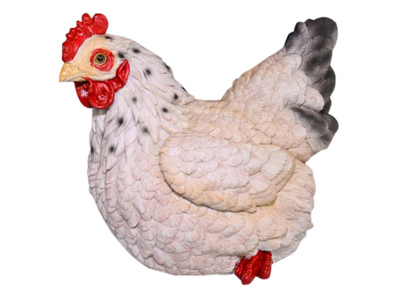 Hen Sitting - White