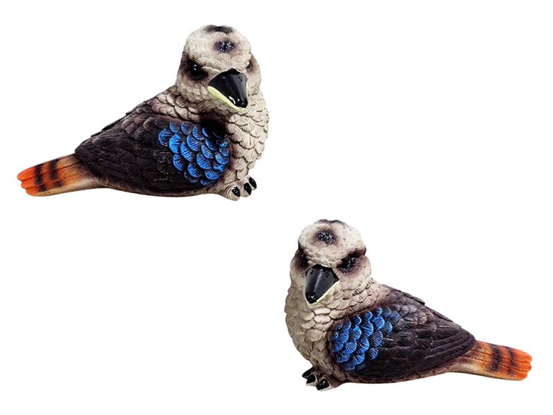 Kookaburra