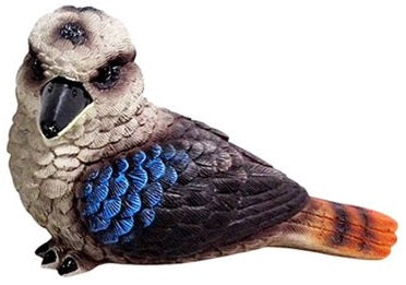 Kookaburra