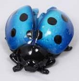 Ladybug Marble