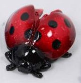 Ladybug Marble