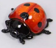 Ladybug Marble