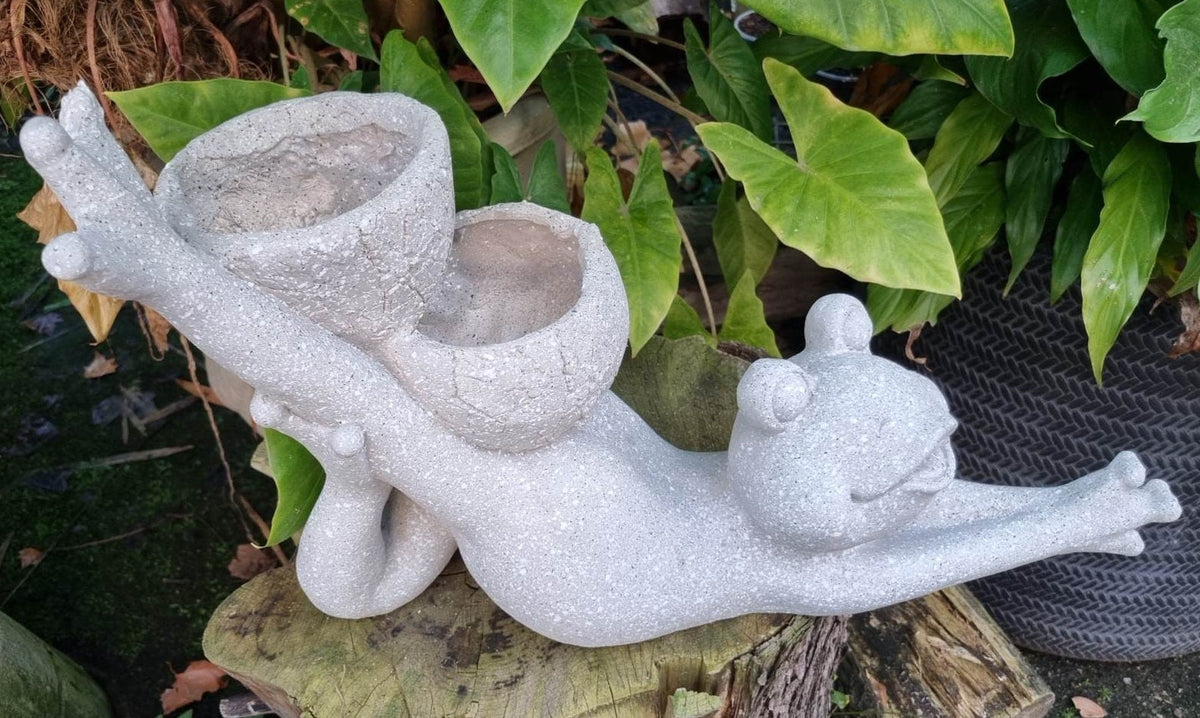 Frog Yoga Belly Stretch With Two Planters