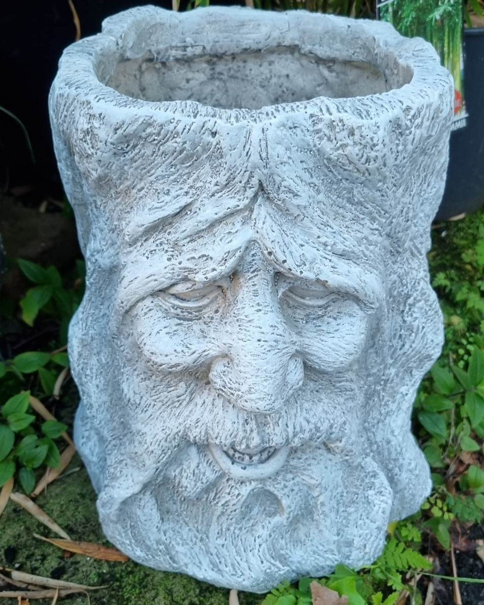 Old Man Beard Planter