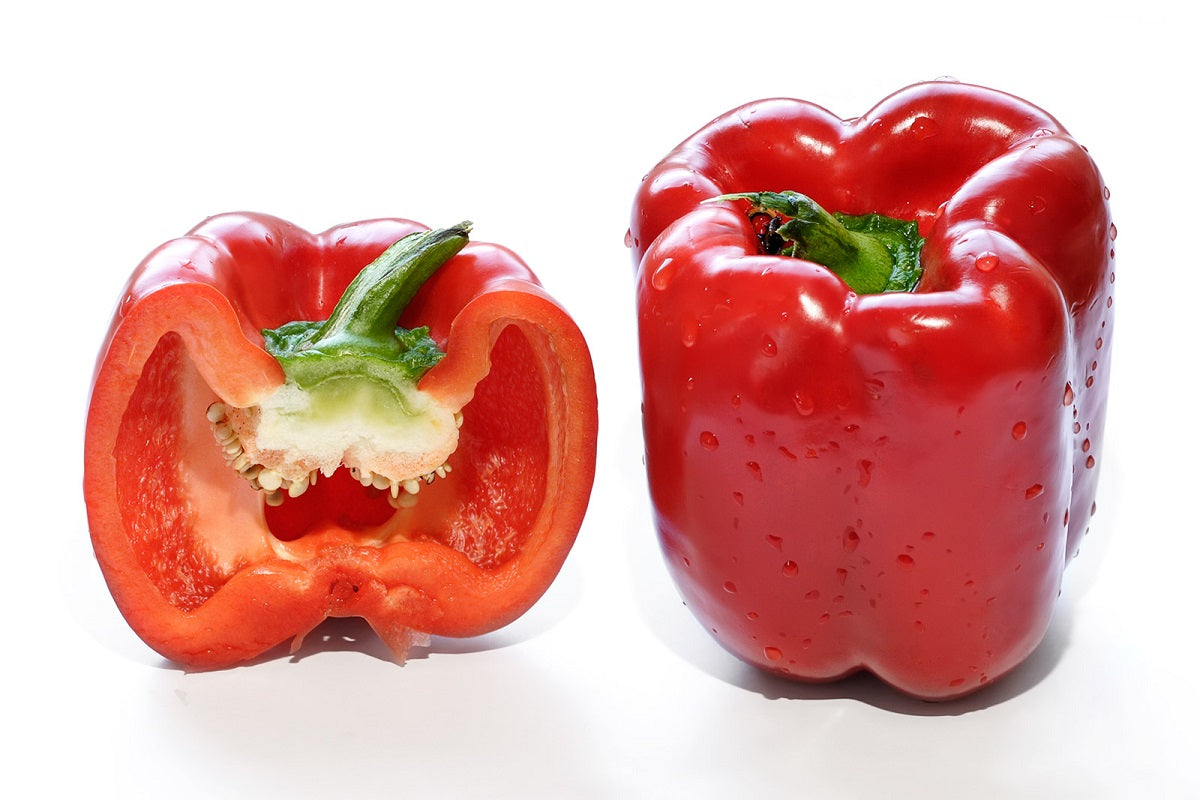 Bell Pepper - RED BEAUTY - Capsicum annuum