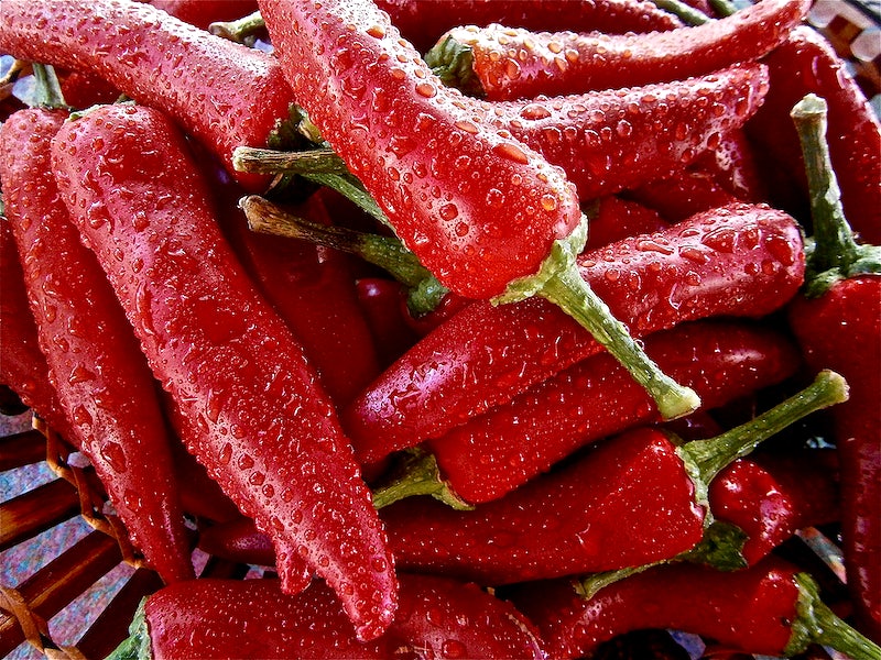 Chilli Pepper - MILD THAI ANAHEIM - Capsicum annuum