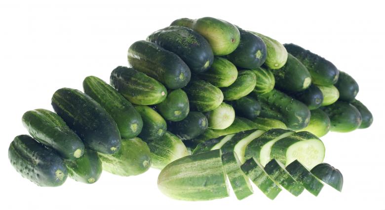 Cucumber - PATIO SNACKER - Cucumis sativus