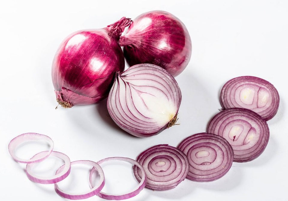 Onion Red - Allium cepa