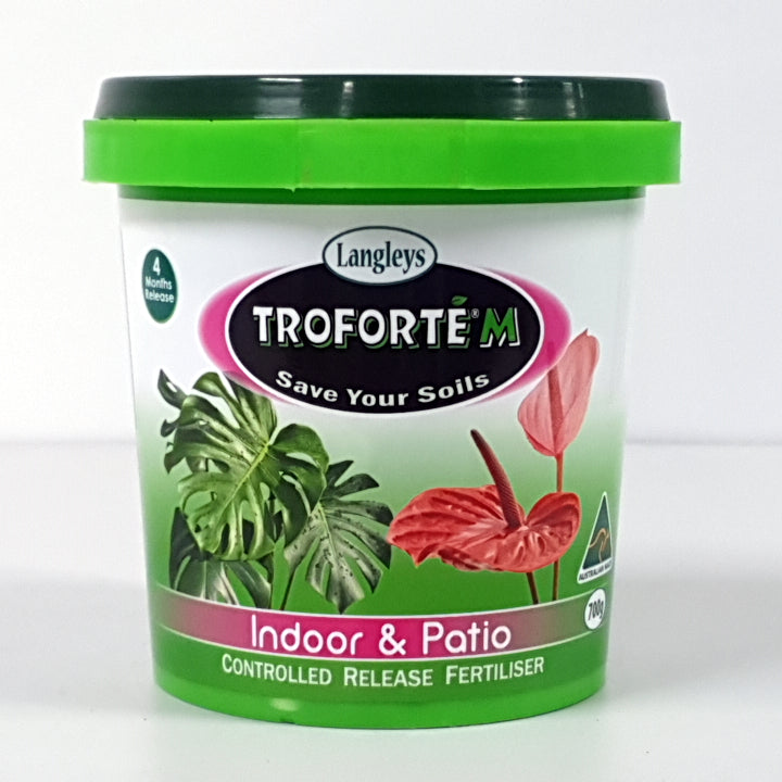 Troforte M Indoor And Patio