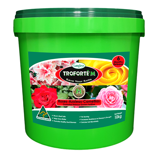 Troforte M Roses Azaleas And Camelias