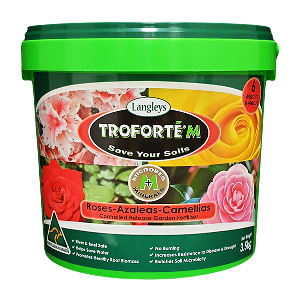 Troforte M Roses Azaleas And Camelias