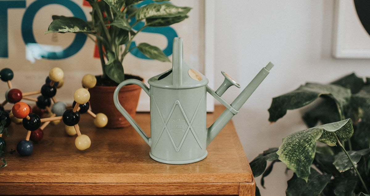 Bartley Burbler Watering Can Sage