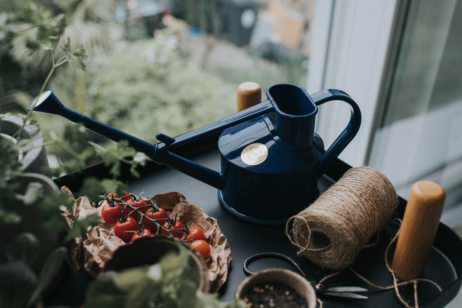 Langley Sprinkler Watering Can Blue