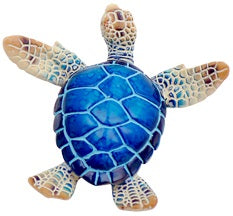 Turtle Tropical