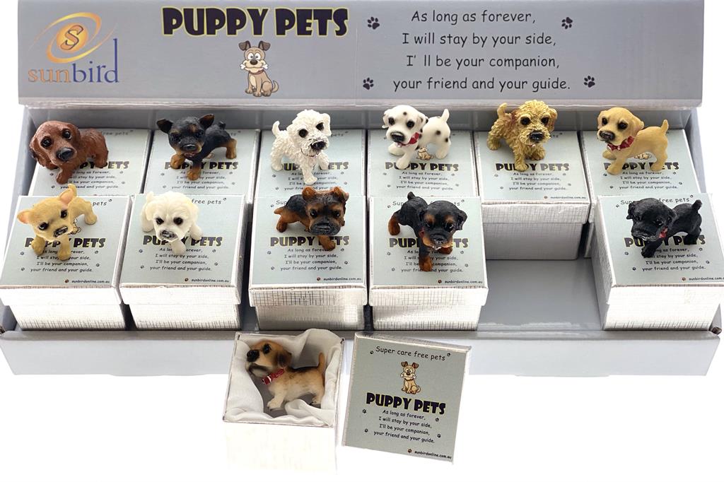 Puppy Pet