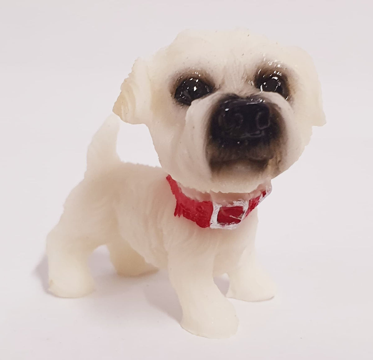 Puppy Pet