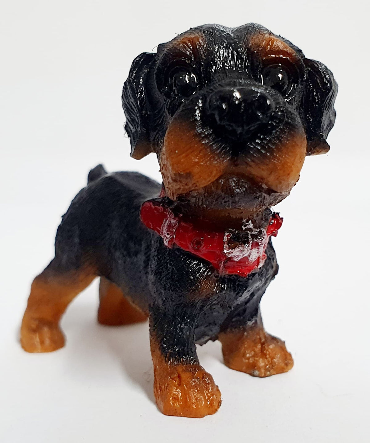 Puppy Pet