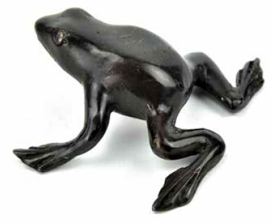 Bronze Frog