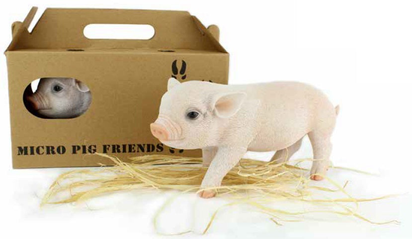 Micro Pig In Travel Pack