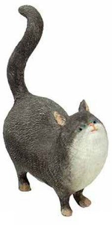 Milinky The Cat