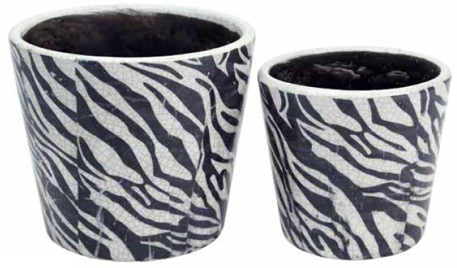 Rustic Round Pot Zebra Pot