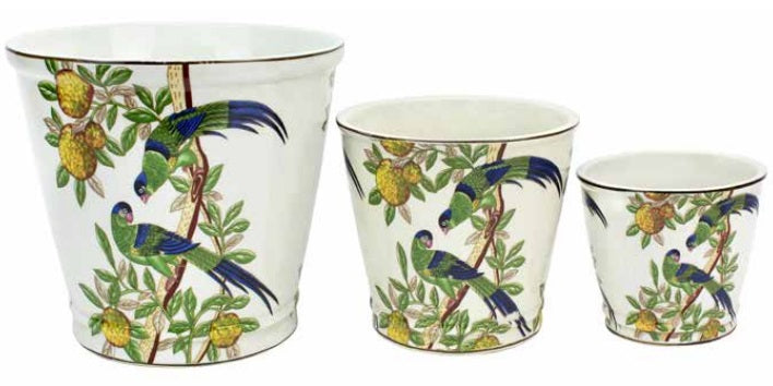 Round Pot Oiseaux Citron
