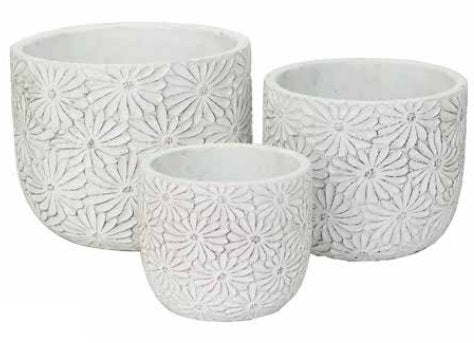 Daisy Pot - White