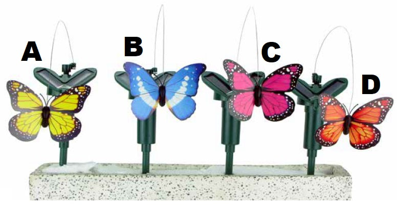 Solar Fluttering Butterfly