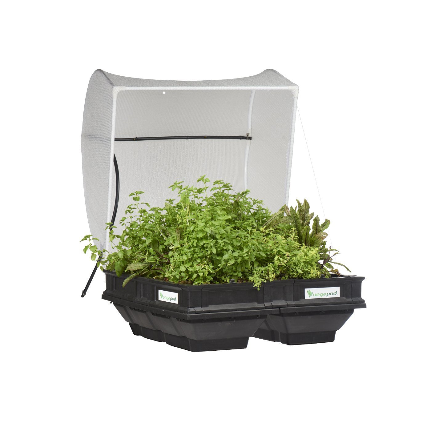 Vegepod With Cover Medium