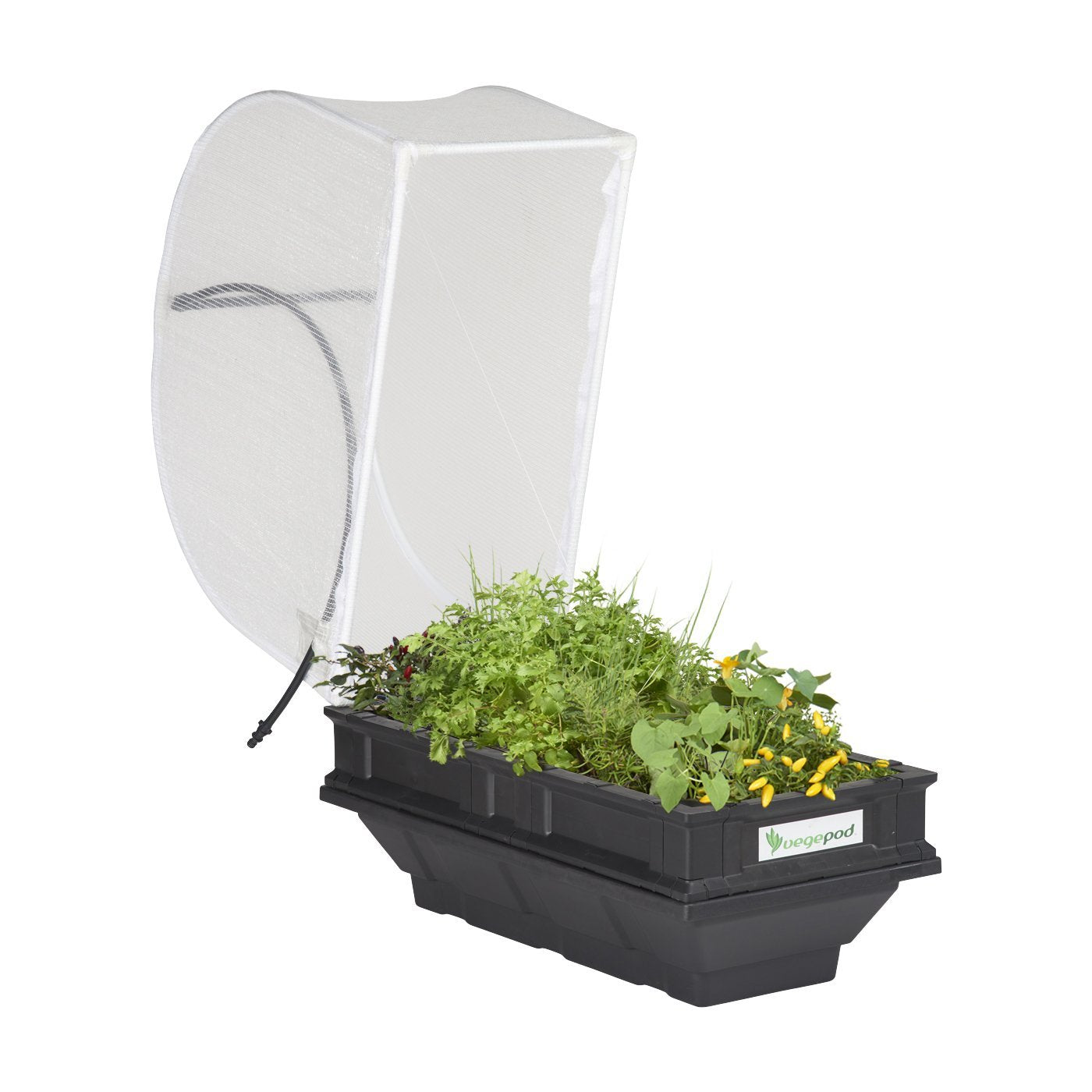 Vegepod With Cover Small