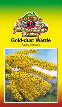 Seeds Acacia acinacea - Gold-Dust Wattle