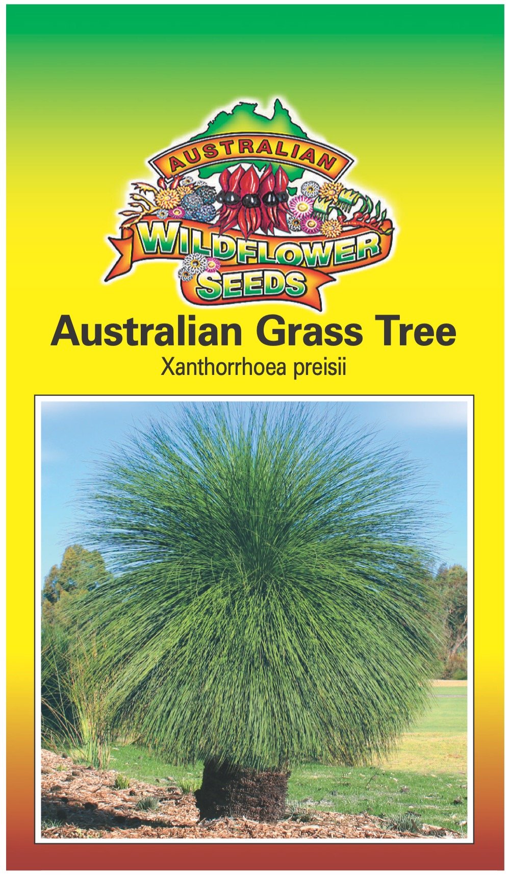 Seeds Xanthorrhoea preisii - Australian Grass Tree