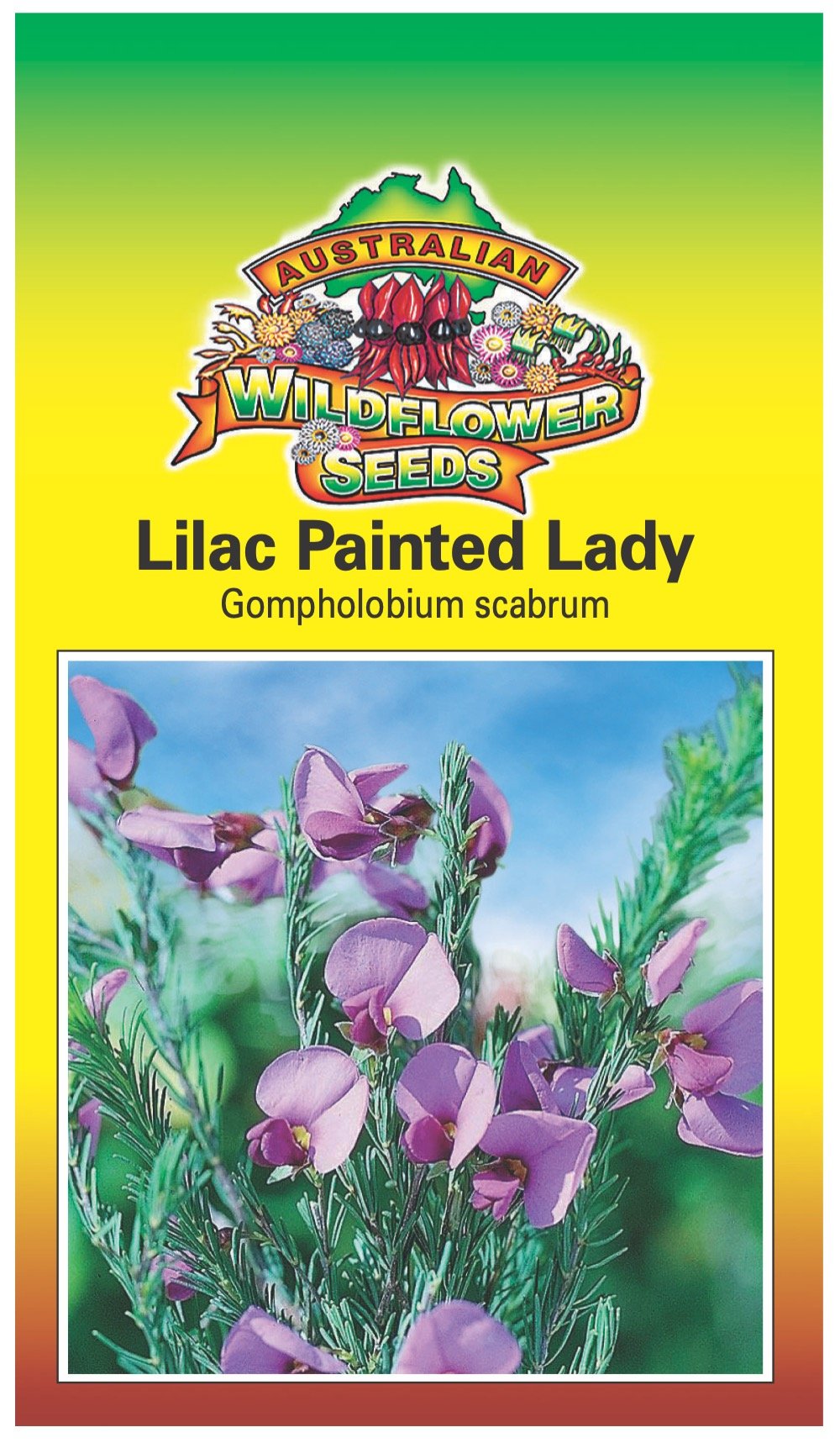 Seeds Gompholobium scabrum - Lilac Painted Lady