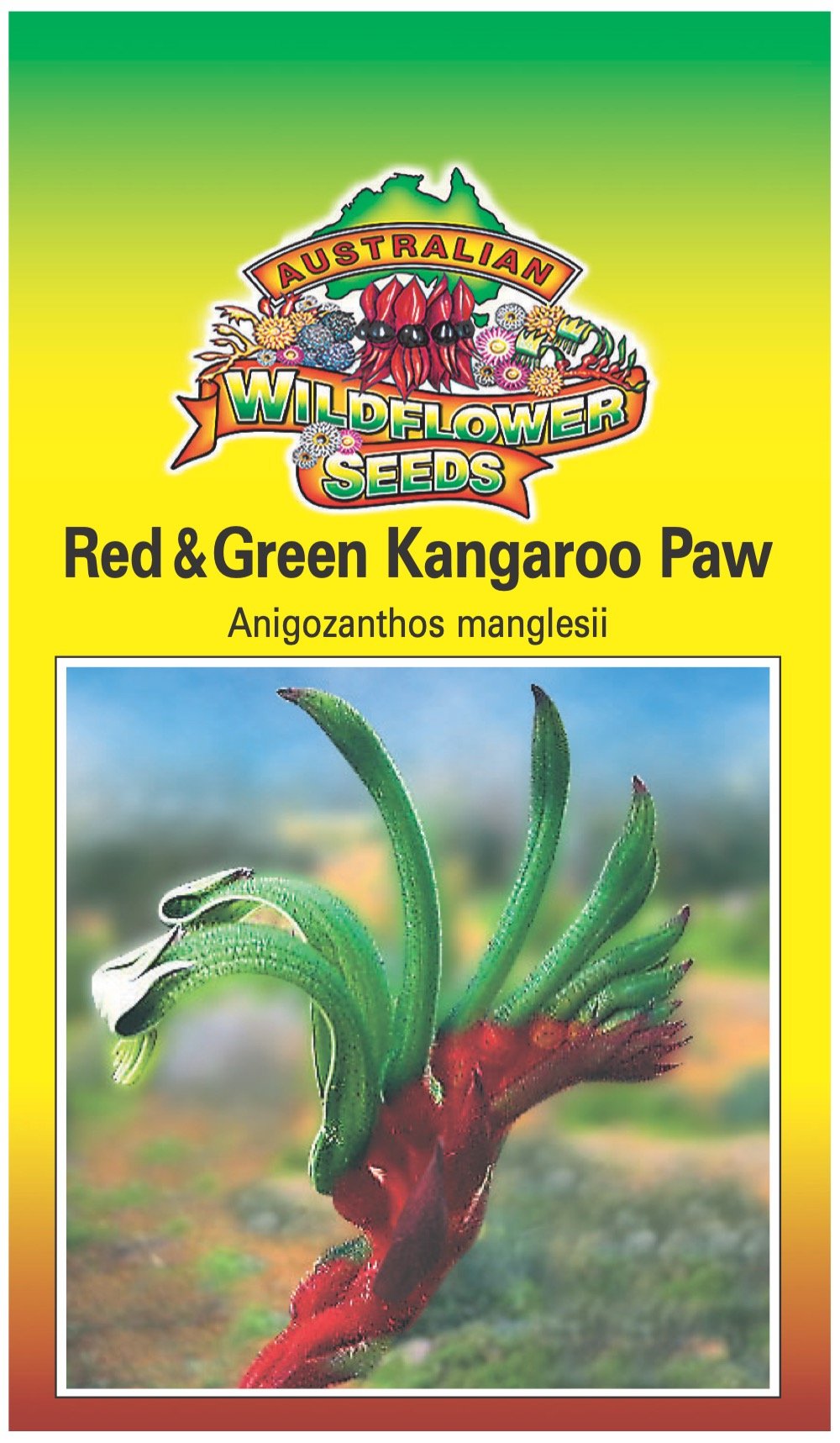 Seeds Anigozanthos manglesii - Red Green Kangaroo Paw